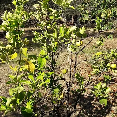 Il Casale Dei Limoni Holiday home *